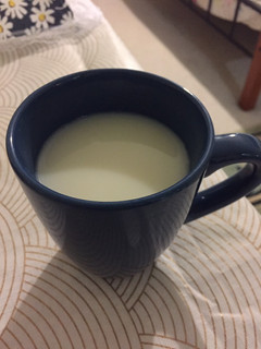 飲料:甜豆漿 的食譜成品照片