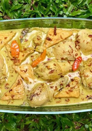 Foto resep Opor Ayam Tahu
