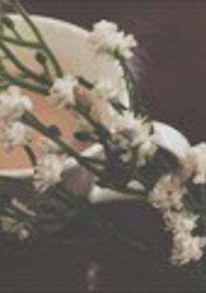 صورة لوصفة القهوه التركيه 💙