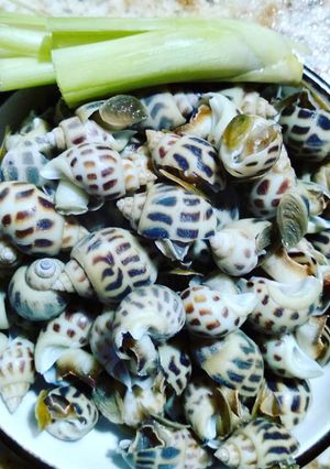 Hình của món Ốc hương hấp gừng sả + chấm muối đường.