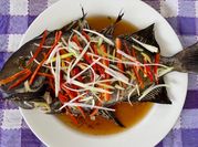 Gambar ikan tim jahe