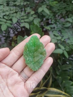 Hình của món Mứt bí đao.