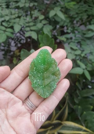 Hình của món Mứt bí đao.