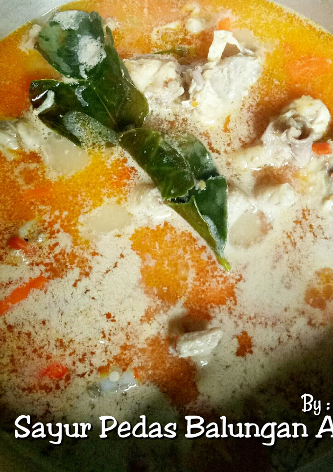 Foto resep Sayur Pedas (Balungan Ayam)