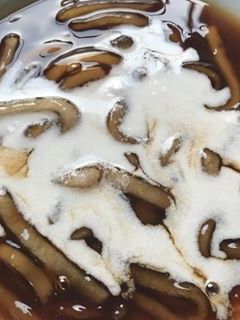 Foto resep Bubur gunting