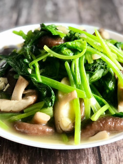 炒菠菜 / 家常菜 的食譜成品照片