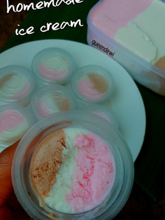Foto resep Homemade Ice Cream