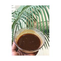 A picture of Tamarind mint chutney.