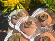 A picture of persimmon fruit