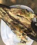 Cá lóc đồng thui rơm