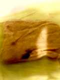 Tamales de pollo dominguero