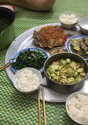 Hình của món Cá sốt cà + canh rau ngót nấu + rau mùng tơi xào + trứng tráng lá lốt + cà muối sổi.