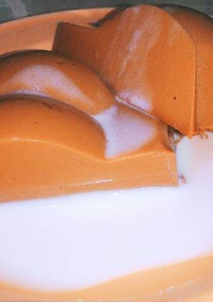 Foto resep Puding susu lembut dan coklat binggo
