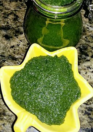 عکسی از دستور دلار یا درار (نمک سبز گیلانی)