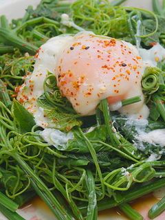 涼拌龍鬚菜 的食譜成品照片