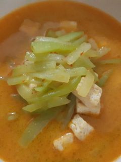Foto resep Sayur Lodeh Manisa Tahu