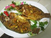 Hình ảnh của cá rô phi rán