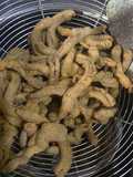 Usus krispi