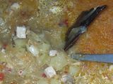 Sayur ketupat