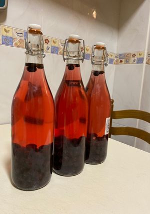Foto principal de Pacharán casero