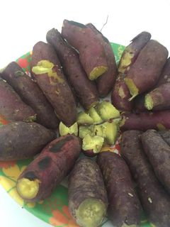 Hình của món Khoai lang luộc (kỉ niệm tuổi thơ)🍠🍠🍠.