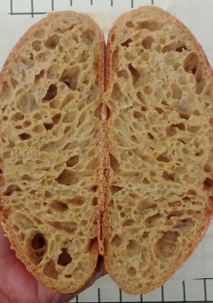 Foto resep Rye Pumpkin Sourdough Bread
