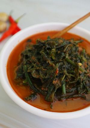 Foto resep Gulai Sayur Pakis