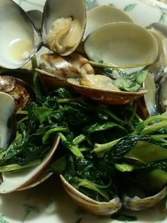 熱炒蛤蜊 的食譜成品照片