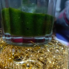 A picture of Green garlic coriander chutney.