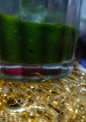 A picture of Green garlic coriander chutney.