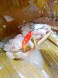 Garang Asem