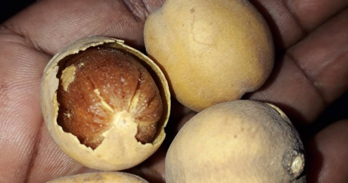 Kada NGBALE On X: The Adua Fruit Which Qualifies The Late, 49% OFF