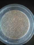 Chia Seed Puding