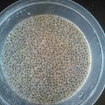 Chia Seed Puding