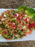 Mixed Salad 🥗🥗🥗 with Radishes