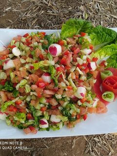 A picture of Mixed Salad 🥗🥗🥗 with Radishes.