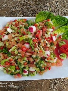 A picture of Mixed Salad 🥗🥗🥗 with Radishes.