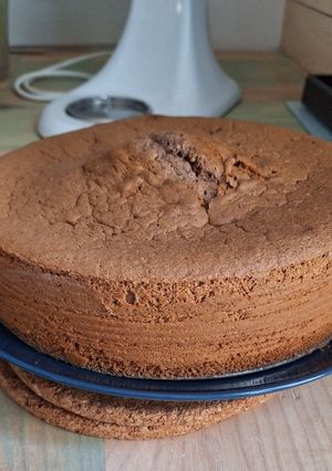 Une photo de Gateau moelleux au cacao