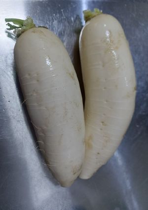Foto resep Asinan lobak putih