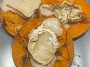 Une photo de butternut chevre