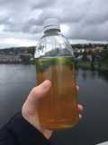 Iced green tea with lemon