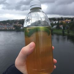 A picture of Iced green tea with lemon.