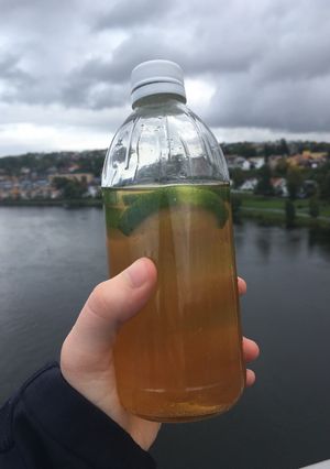 A picture of Iced green tea with lemon.