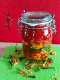 Eingelegte Chilischoten