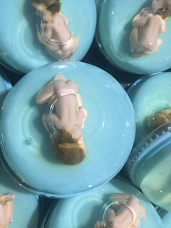 Una foto de Gelatinas baby shower 👶🏻👣