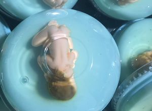 Una foto de Gelatinas baby shower 👶🏻👣