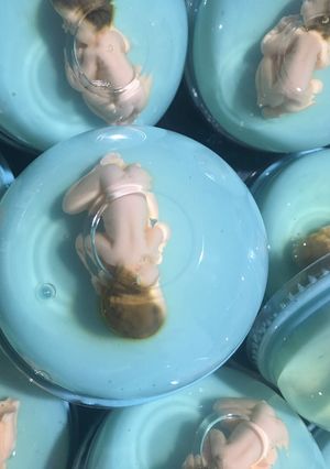 Una foto de Gelatinas baby shower 👶🏻👣