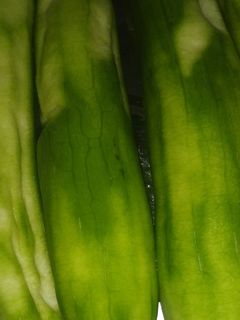 तोरई की सब्जी (Torai ki sabzi recipe in Hindi) रेसिपी मुख्य फोटो