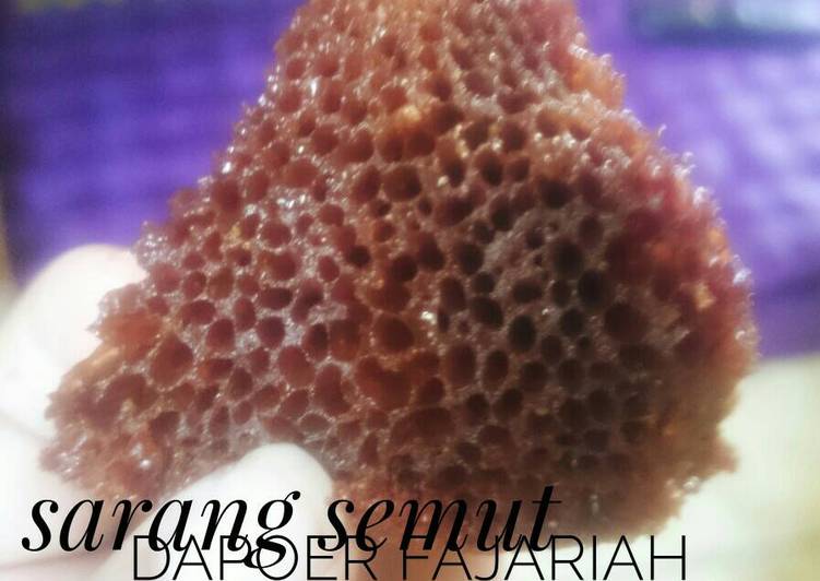 Sarang semut anti gagal dan simple banget