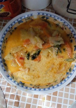 Foto resep Sayur santan sederhana